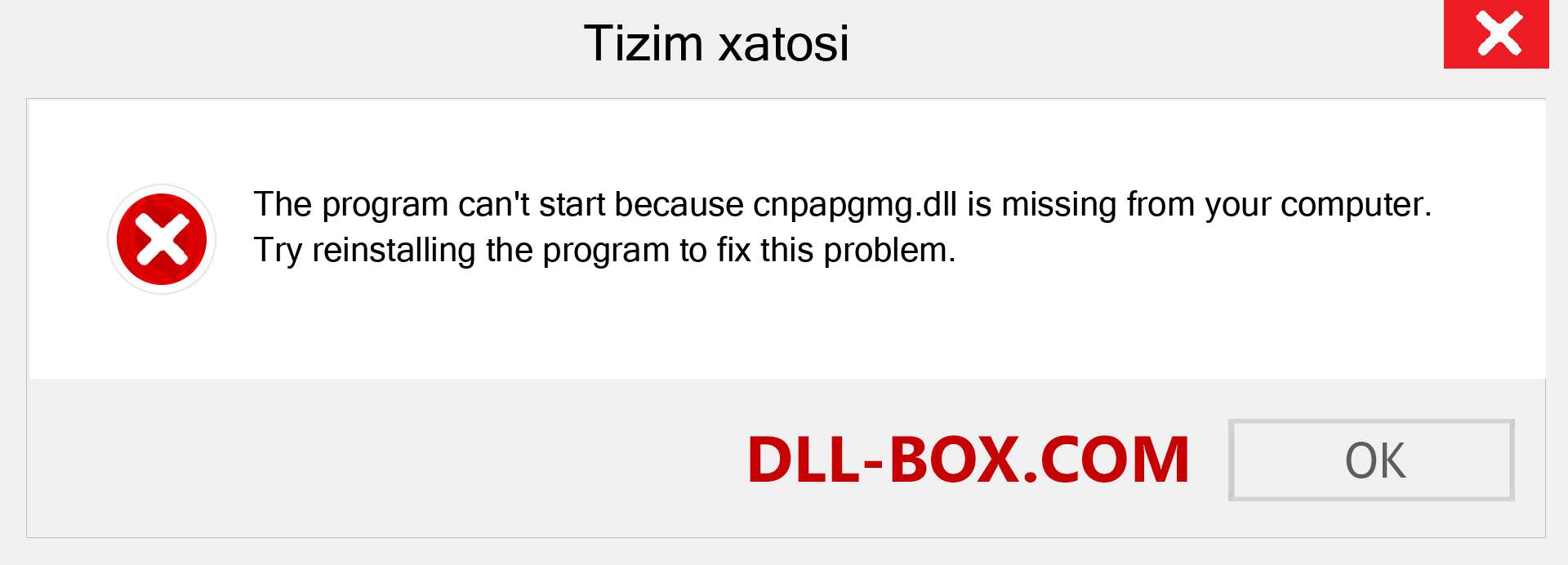 cnpapgmg.dll fayli yo'qolganmi?. Windows 7, 8, 10 uchun yuklab olish - Windowsda cnpapgmg dll etishmayotgan xatoni tuzating, rasmlar, rasmlar
